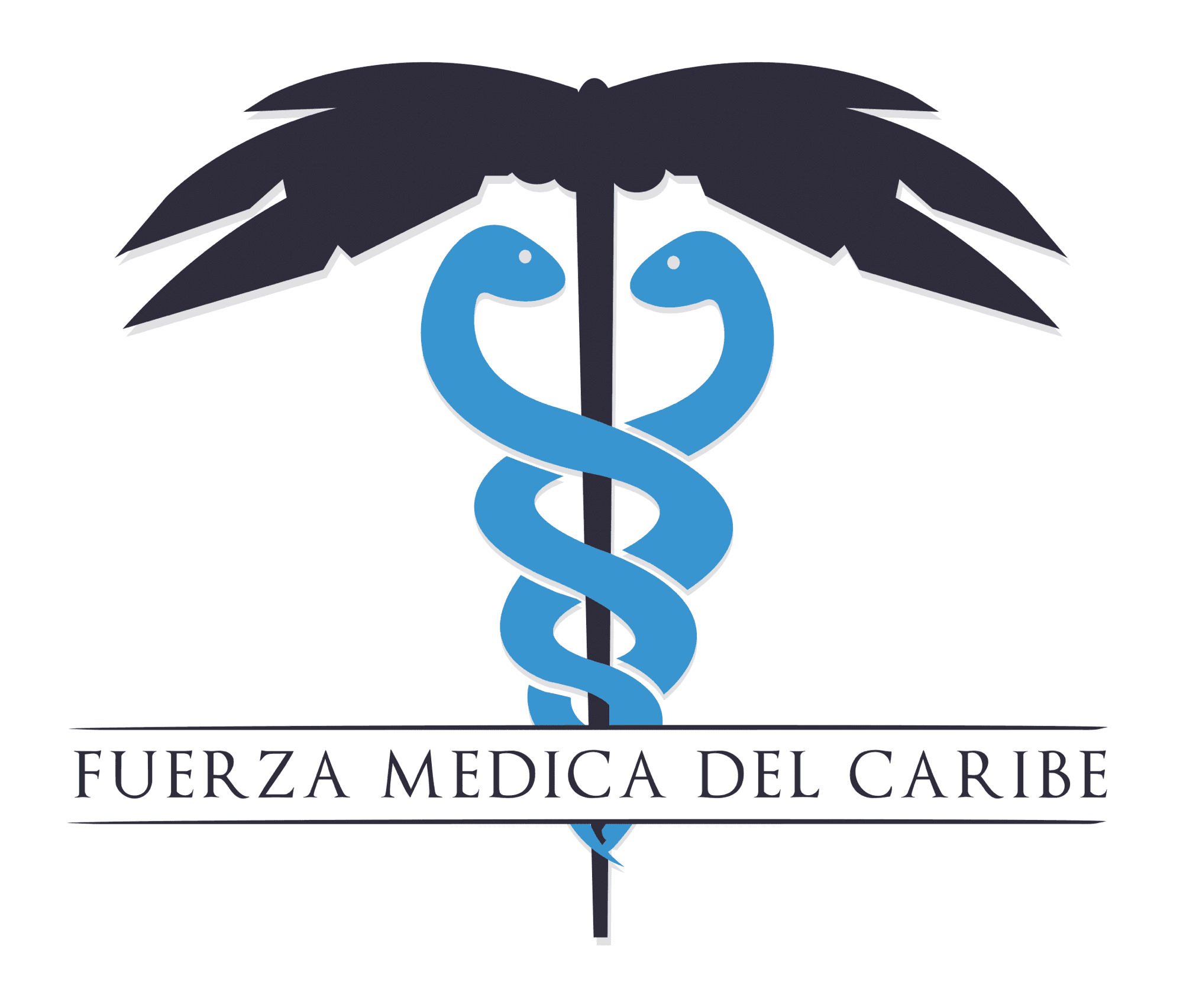 Fuerza Médica del Caribe